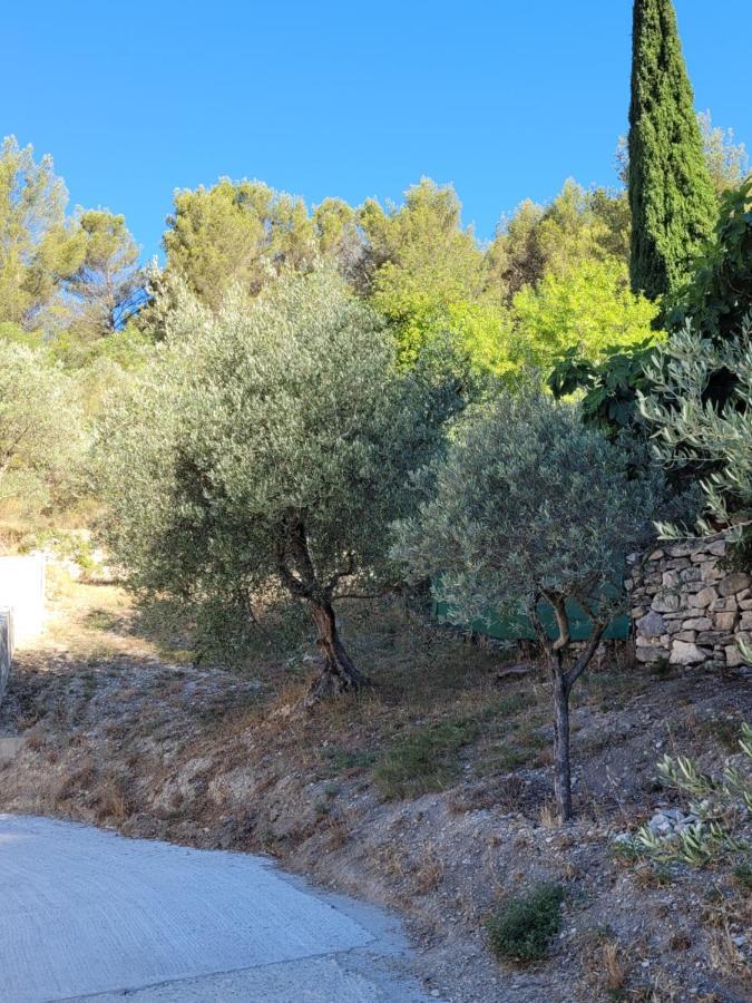 Villa L'Oustau de Laëtitia Animaux bienvenus à Fontaine-de-Vaucluse Extérieur photo