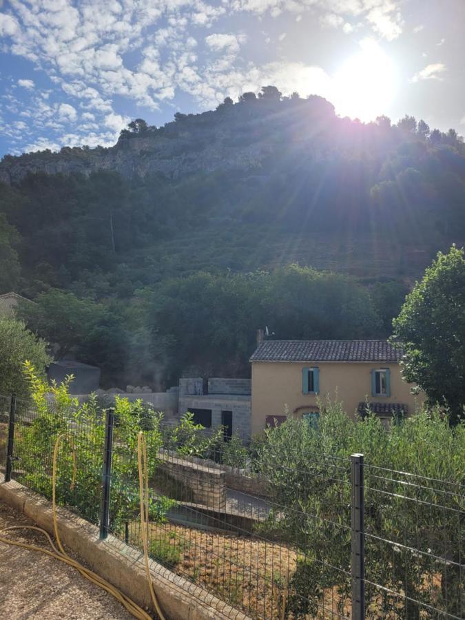 Villa L'Oustau de Laëtitia Animaux bienvenus à Fontaine-de-Vaucluse Extérieur photo